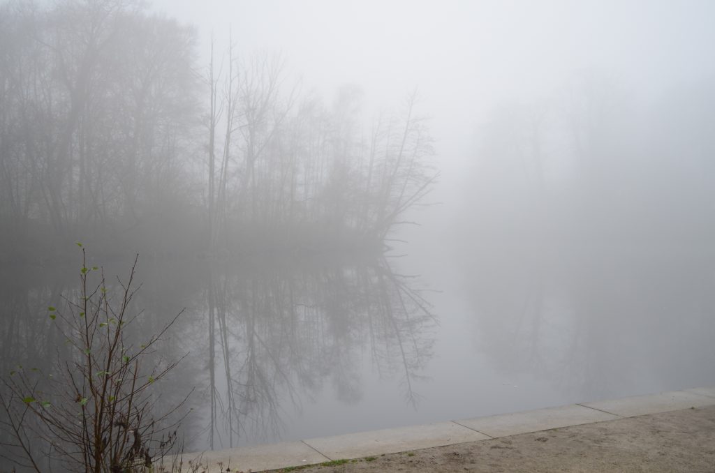 Dichter Nebel verhängt den See und die Baumgruppen im Steinfurter Bagno-Park.